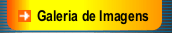 Galeria de Imagens
