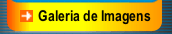 Galeria de Imagens