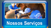 Nossos Servi&ccedil;os